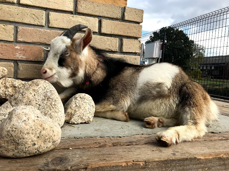 タケガワふれあい動物園