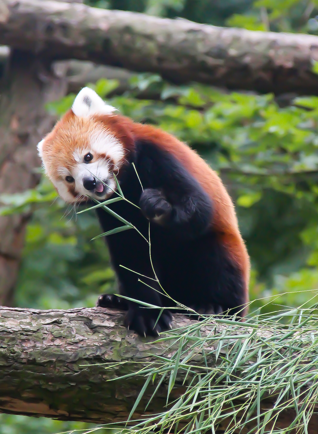 Photo n° 1 de l'avis de Cynthia.l fait le 21/07/2022 à 17:10