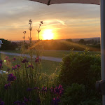 Photo n°3 de l'avis de Pion.k fait le 12/07/2020 à 08:16 sur le  Golflounge à Ehingen