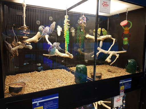 Pet Supply Store «PetSmart», reviews and photos, 6050 Peachtree Pkwy, Norcross, GA 30092, USA