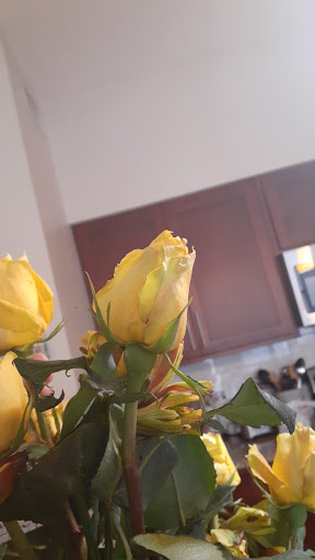 Florist «Amazon Flowers», reviews and photos, 6730 SW 20th Ct, Miramar, FL 33023, USA