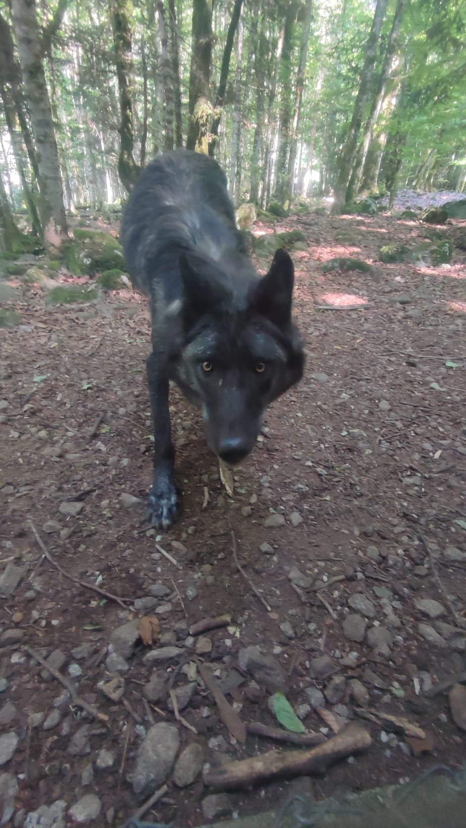 Photo n° 2 de l'avis de Nenette.K fait le 24/07/2022 à 18:58