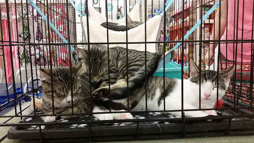 Pet Supply Store «PetSmart», reviews and photos, 3132 Vestal Pkwy E, Vestal, NY 13850, USA
