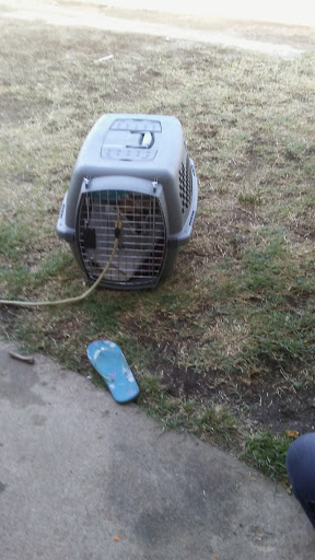 Grocery Store «Rio Ranch Market», reviews and photos, 9001 Mission Boulevard, Riverside, CA 92509, USA