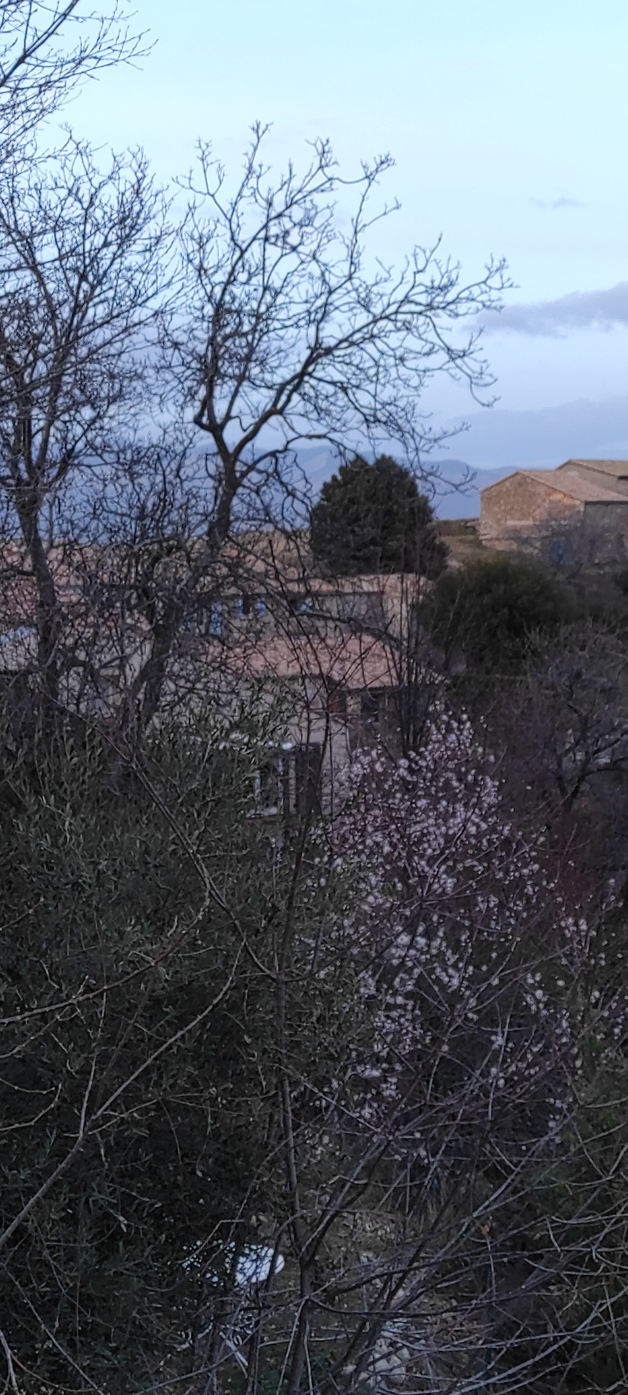 Photo n° 13 de l'avis de barbara.i fait le 24/02/2023 à 18:44