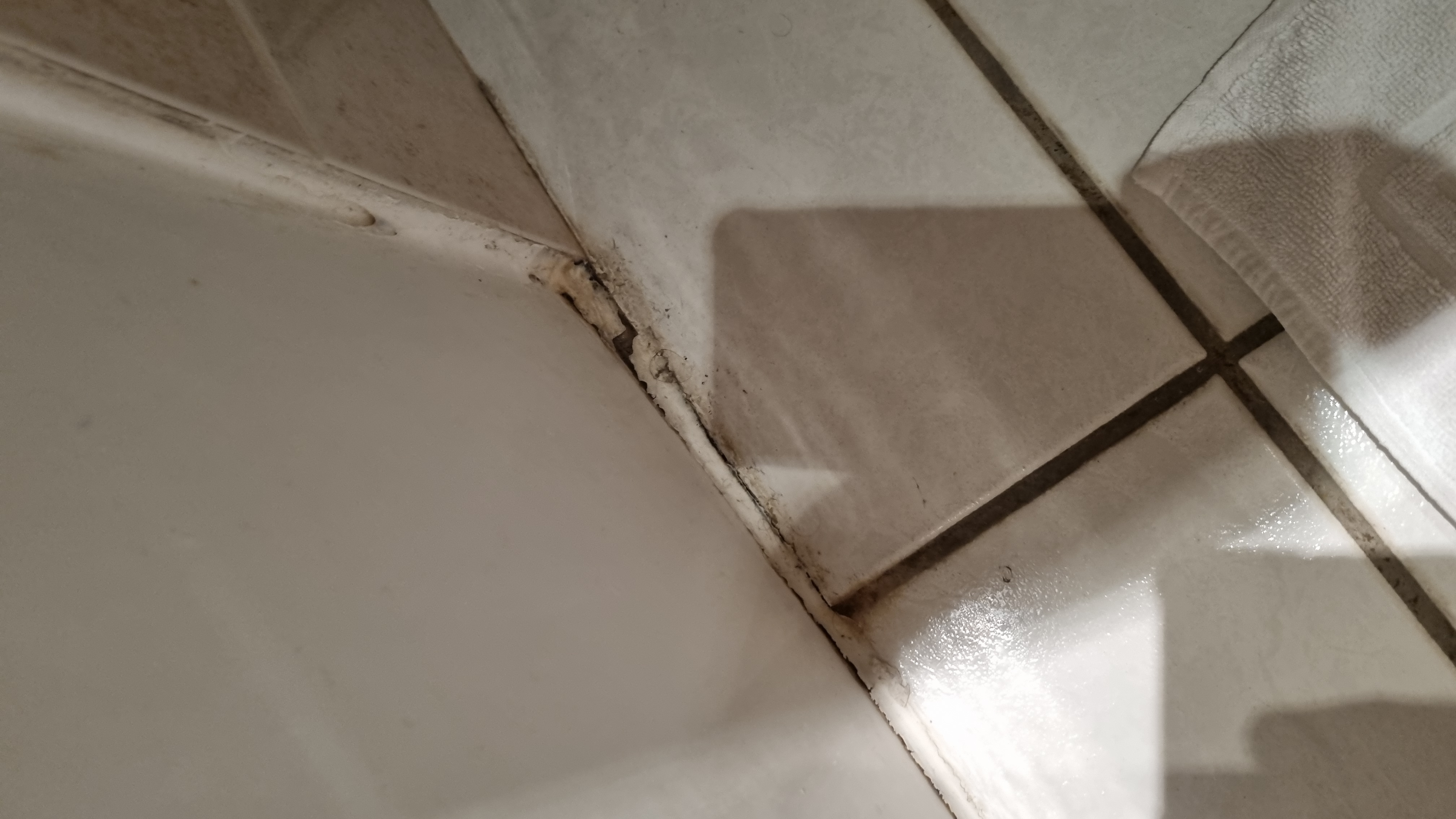 Photo n° 4 de l'avis de Jerome.a fait le 15/08/2022 à 21:13