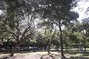 Forest "Centenario Kehilá of Rosario" image