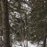 Photo n° 2 de l'avis de Franck.o fait le 04/03/2023 à 15:07 pour Domaine skiable de Villard-de-Lans Corrençon-en-Vercors à Villard-de-Lans