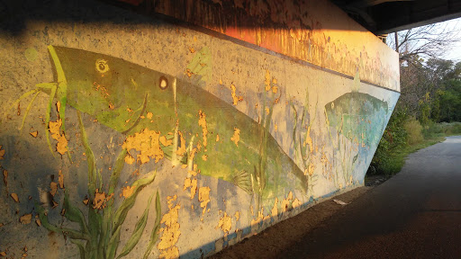 Golf Driving Range «Riverside Golf Academy», reviews and photos, 3600 N White River Pkwy W Dr, Indianapolis, IN 46228, USA