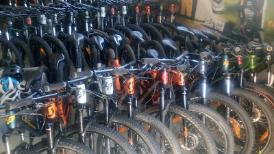 SERVI'NATURE SKI - VTT éléctrique à Haut Valromey