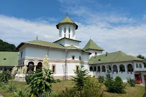 Mănăstirea Govora image