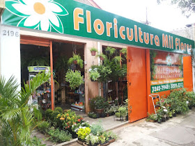 FLORICULTURA MIL FLORES