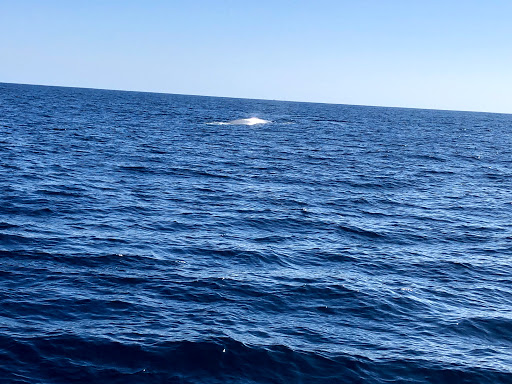 Amusement Park «Balboa Fun Zone», reviews and photos, 600 E Bay Ave, Newport Beach, CA 92661, USA