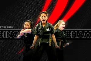 Championship Martial Arts - Racine image