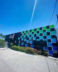 DOG Hotels Aventura - Photo 5 - Car repair in Aventura, FL, Hollywood