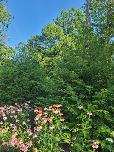 Live Music Venue «Caramoor Center for Music and the Arts», reviews and photos, 149 Girdle Ridge Rd, Katonah, NY 10536, USA