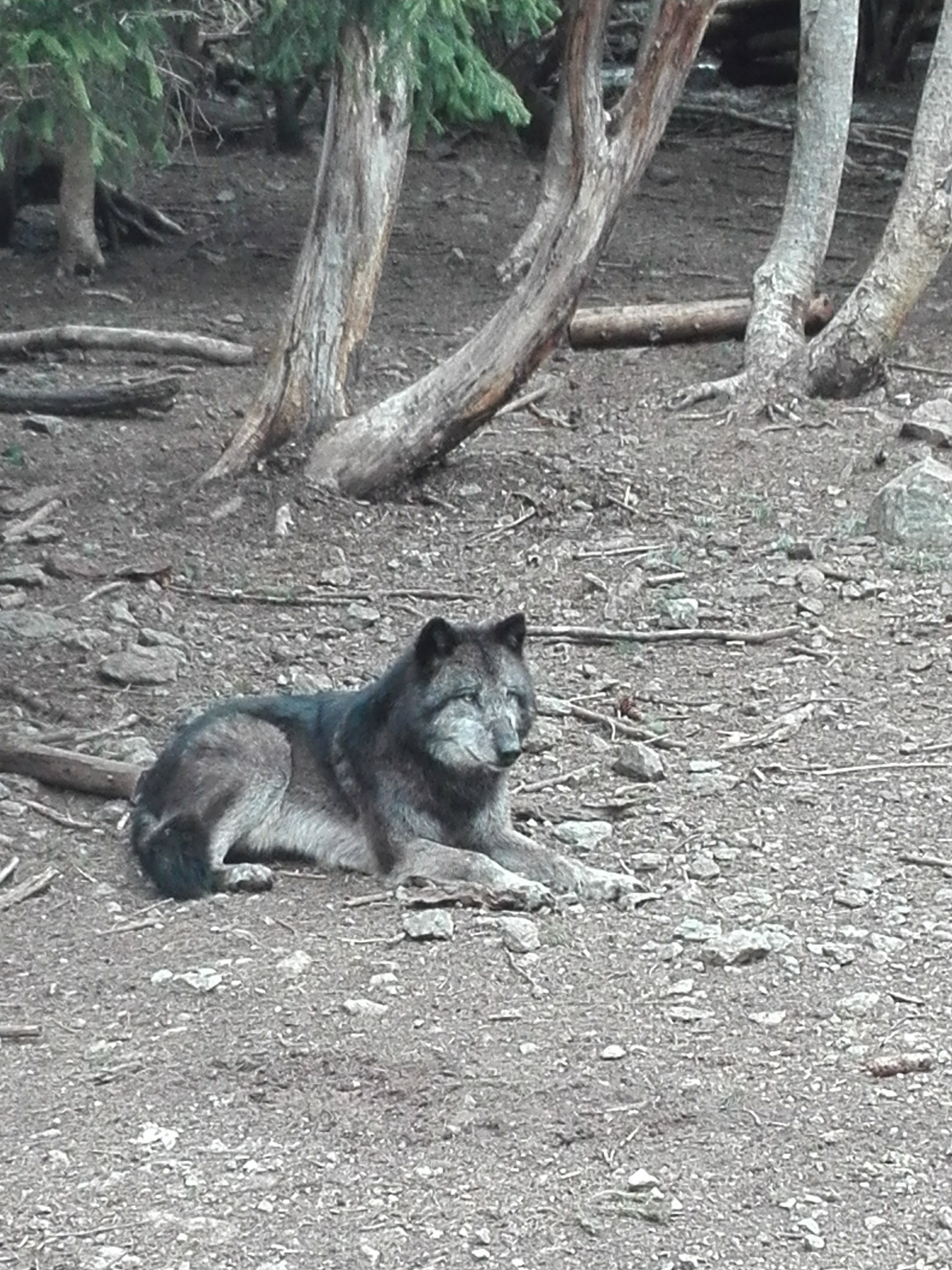 Photo n° 4 de l'avis de Victor.h fait le 01/05/2018 à 20:58