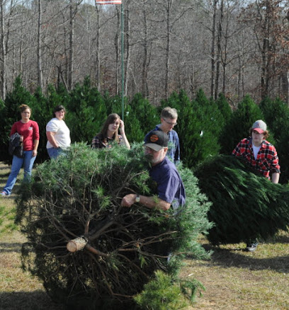 Beavers Christmas Tree Farm