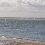 Photo n° 2 de l'avis de Christine.c fait le 23/07/2019 à 15:22 pour Plage Sud à Fouras