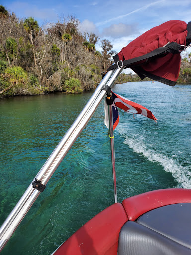 National Forest «Ocala National Forest», reviews and photos, FL-40, Silver Springs, FL 34488, USA