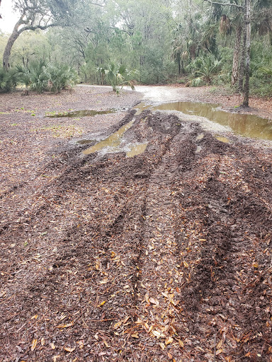 Lumber Store «Buck Lumber & Building Supply Inc», reviews and photos, 1911 Maybank Hwy, Charleston, SC 29412, USA