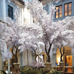 Photo n°3 de l'avis de Eligio.r fait le 09/04/2022 à 15:07 sur le  Atrium Bar à Florence