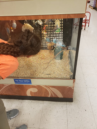 Pet Supply Store «PetSmart», reviews and photos, 2929 James Sanders Blvd f, Paducah, KY 42001, USA