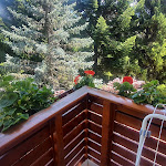 Photo n°5 de l'avis de Luca.i fait le 09/07/2022 à 10:08 sur le  Hotel Tannhof à Kaltern an der Weinstraße