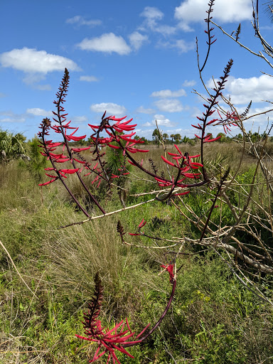 Nature Preserve «Perico Preserve», reviews and photos, 11700 Manatee Ave W, Bradenton, FL 34209, USA