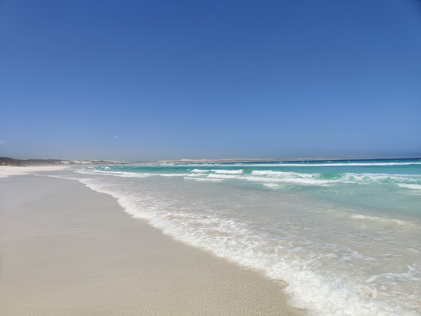 Foto av Almonta Beach beläget i naturområde