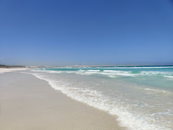Foto av Almonta Beach beläget i naturområde