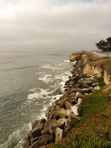 Coffee Shop «Santa Cruz Coffee Roasting Co.», reviews and photos, 1330 Pacific Ave, Santa Cruz, CA 95060, USA