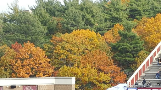 Stadium «Alumni Stadium», reviews and photos, 140 Commonwealth Avenue, Chestnut Hill, MA 02467, USA