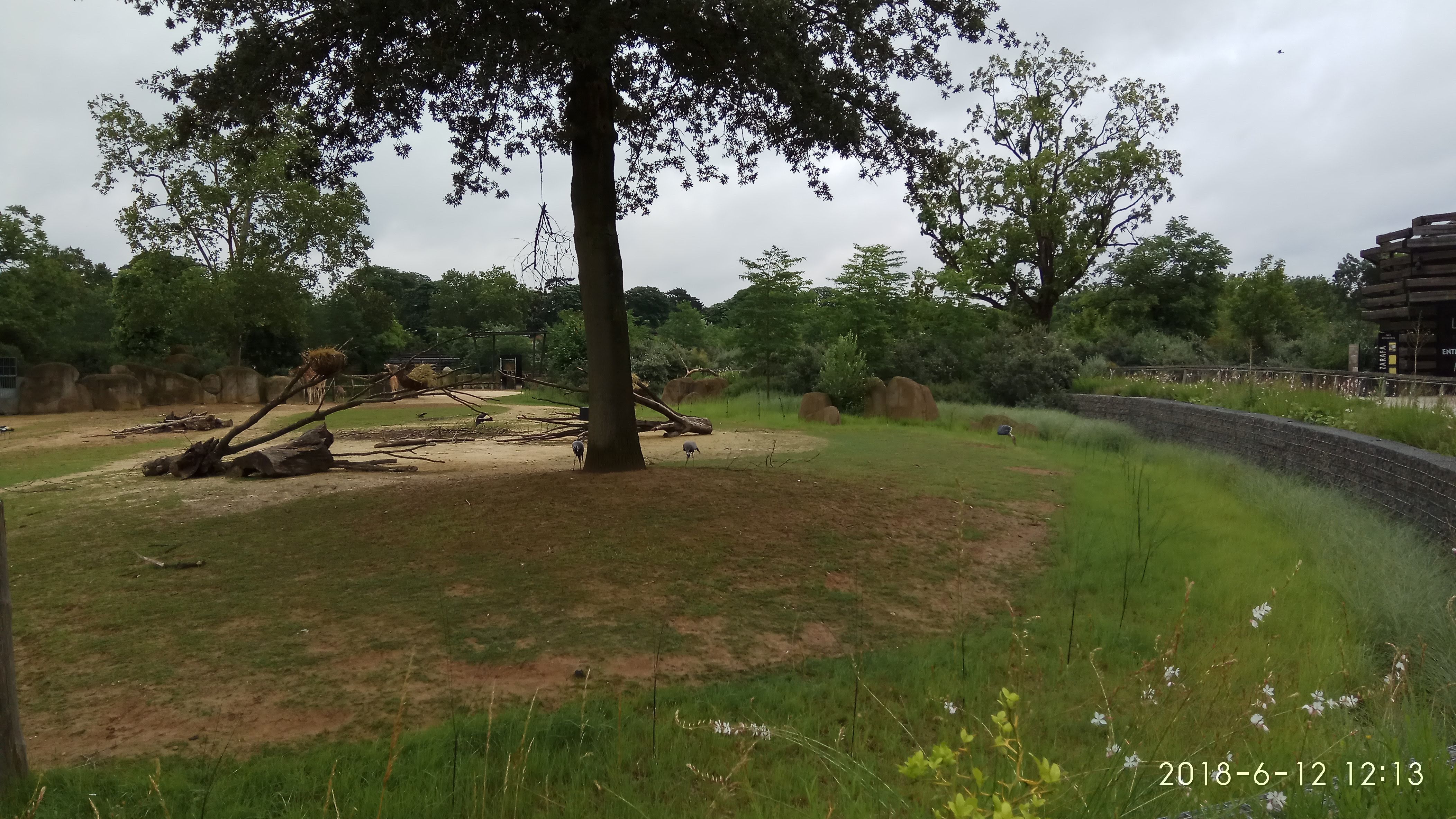 Photo n° 46 de l'avis de Swiss.e fait le 15/06/2018 à 19:24