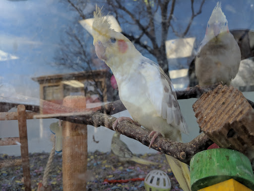 Pet Store «Pets 4 All», reviews and photos, 167 Main St, Rio Vista, CA 94571, USA