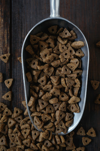 Pet Supply Store «Pet Wants», reviews and photos, 321 S Ashland Ave, Lexington, KY 40502, USA