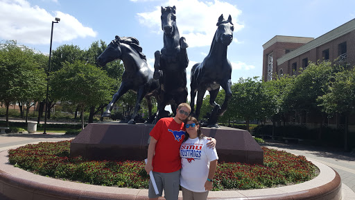 Stadium «Gerald J. Ford Stadium», reviews and photos, 5800 Ownby Dr, Dallas, TX 75205, USA