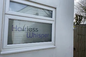 Hairless Whisper image