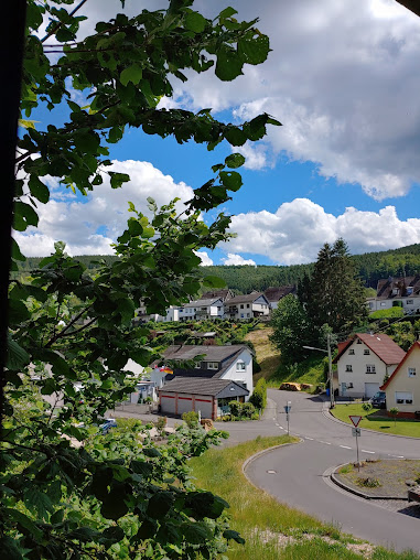 Dr. Frischmann - Dr. Frischmann