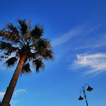 Photo n°8 de l'avis de Giuseppe.a fait le 18/01/2019 à 11:00 sur le  Blue Moon Hotel à Pantelleria