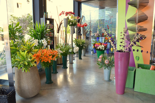 Tiendas de flores tipicas en Gran Canaria