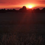 Photo n°3 de l'avis de Torsten.a fait le 29/06/2023 à 16:25 sur le  SVG Autohof-Gotha à Schwabhausen