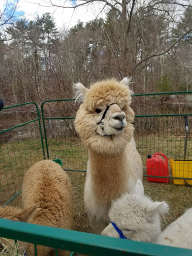 Park «Oliver Mill Park», reviews and photos, Nemasket St, Middleborough, MA 02346, USA