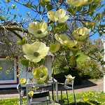 Photo n°1 de l'avis de Oliver.a fait le 01/05/2023 à 12:04 sur le  Hotel am See Römnitzer Mühle à Römnitz