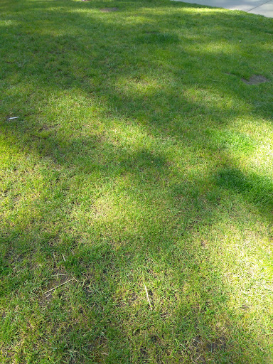 Tourist Attraction «Snoqualmie Falls Lower Observation Deck», reviews and photos, 37451 SE Fish Hatchery Rd, Fall City, WA 98024, USA