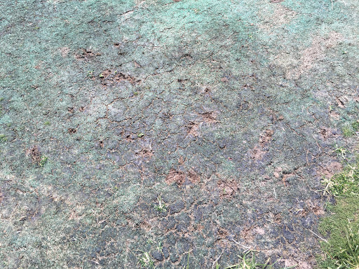 Golf Course «Elm Golf Course», reviews and photos, 3670 Ladd Ridge Rd, Athens, OH 45701, USA