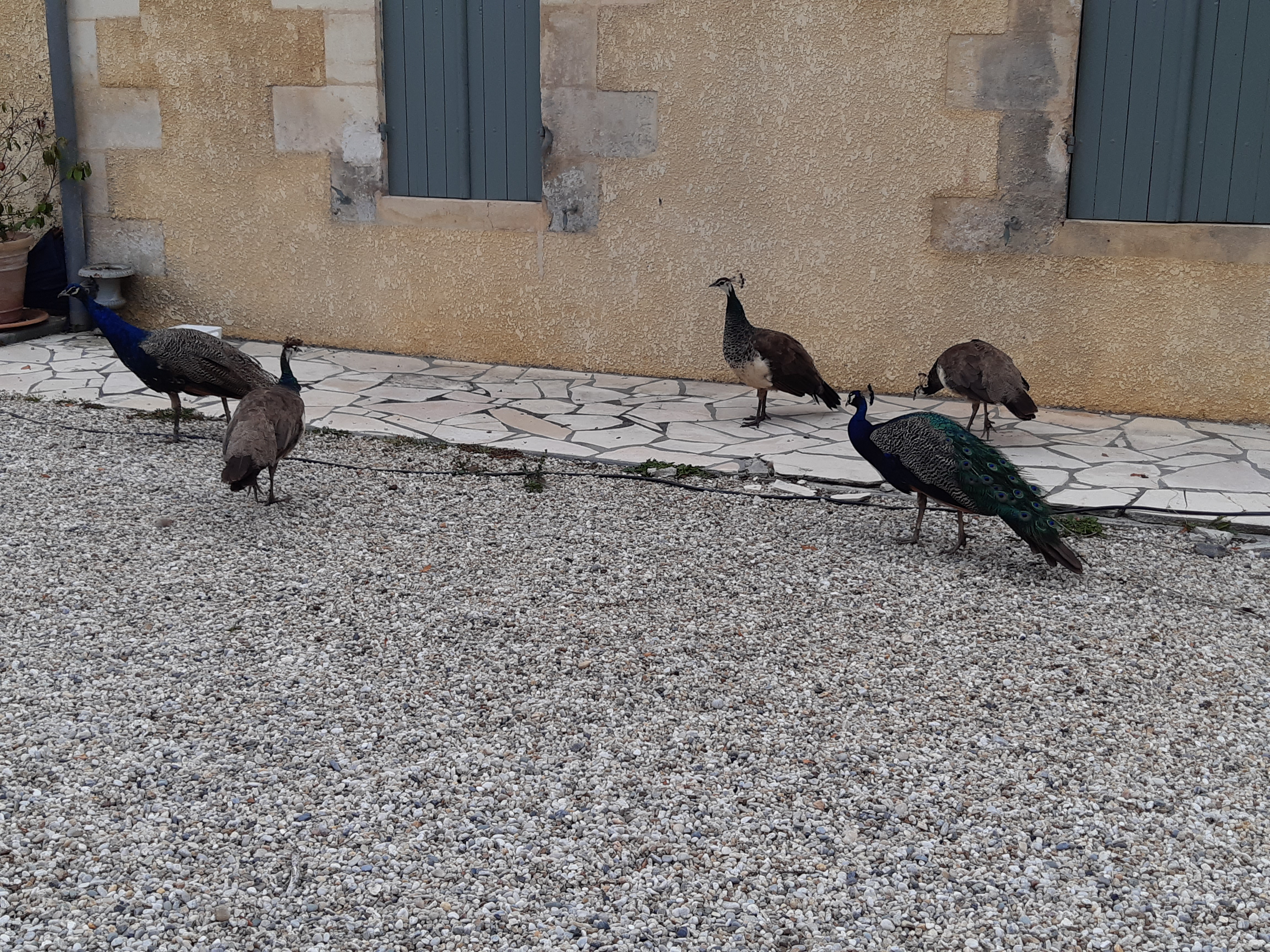 Photo n° 3 de l'avis de Philippe.A fait le 24/07/2021 à 21:24