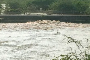 Palar River image