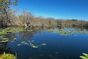 Everglades National Park image