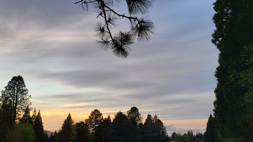 Private Golf Course «Michelbook Country Club», reviews and photos, 1301 NW Michelbook Ln, McMinnville, OR 97128, USA